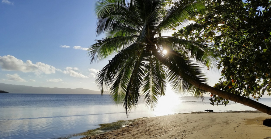 Fiji01