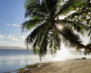 Fiji01
